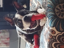 You're so interesting!